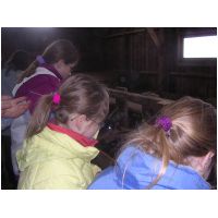 Stage fevrier 2005 - 111.JPG